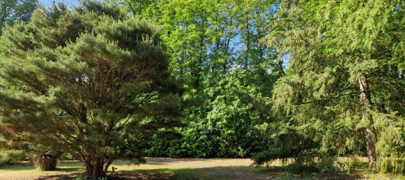 7 Schlafzimmer Haus in Ouerre, France, Nr. 65384 15