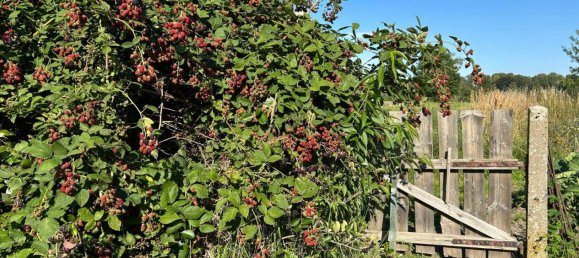 8-Zimmer Haus in Sachsen, Germany, Nr. 269078 22