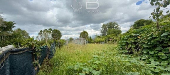  Land in Viareggio, Italy No. 351472 23