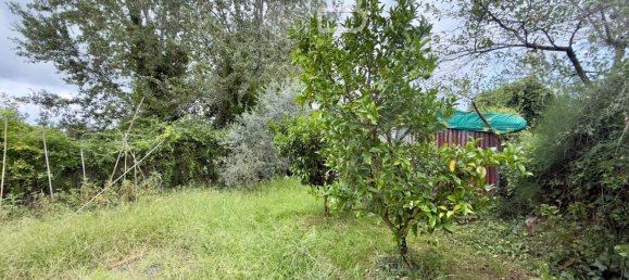  Land in Viareggio, Italy No. 351472 22