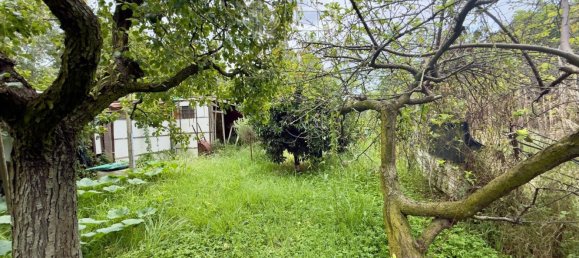  Land in Viareggio, Italy No. 351472 21