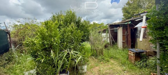  Land in Viareggio, Italy No. 351472 20