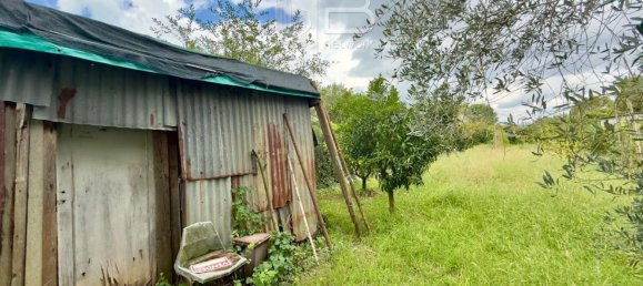  Land in Viareggio, Italy No. 351472 16