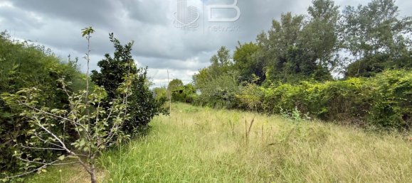  Land in Viareggio, Italy No. 351472 19