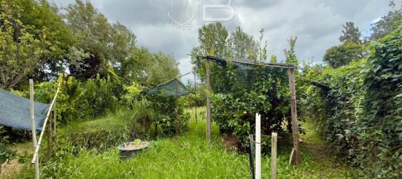  Land in Viareggio, Italy No. 351472 6