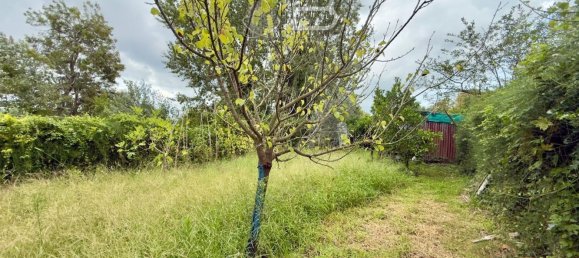  Land in Viareggio, Italy No. 351472 18