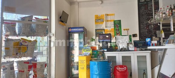 3 rooms Commercial property in Rome, Italy No. 50121 12