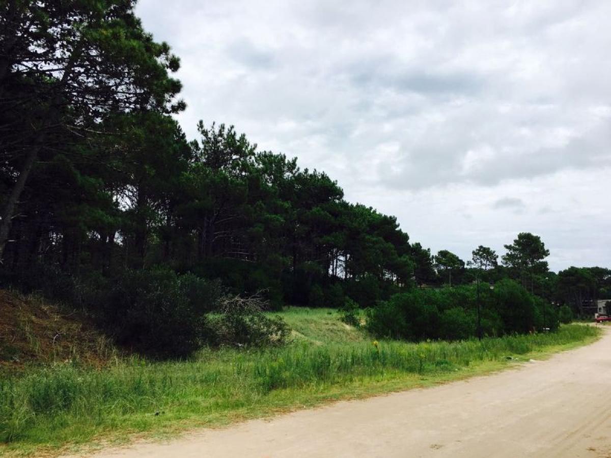 Grundstück in Mar del Plata, Argentina, Nr. 110564