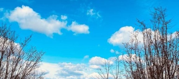 Hotel in Altheim, Austria 113m², Nr. 126824 6