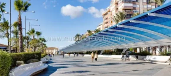 Apartamento T1 em Torrevieja, Spain N.º 92058 23