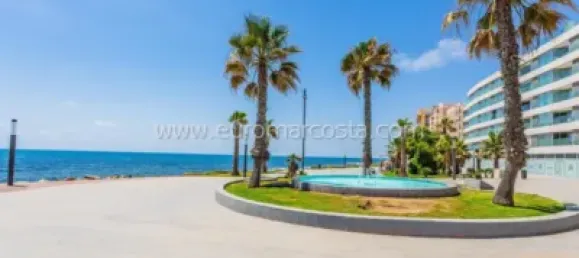 Apartamento T1 em Torrevieja, Spain N.º 92058 17