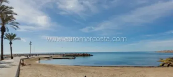 Apartamento T1 em Torrevieja, Spain N.º 92058 19