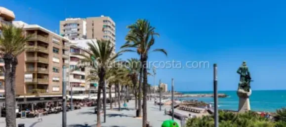 Apartamento T1 em Torrevieja, Spain N.º 92058 16