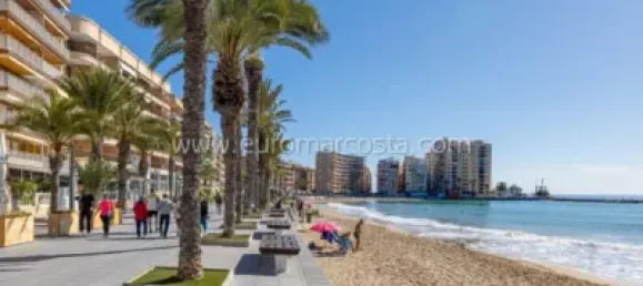 Apartamento T1 em Torrevieja, Spain N.º 92058 18