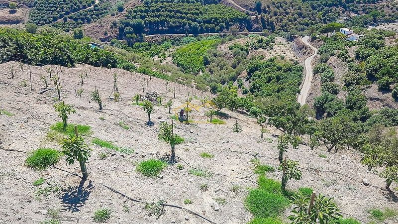 3500m² Land in Malaga, Spain No. 224004