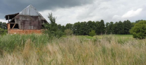 Дом с 8 комнатами в Wittenberg, Германия № 313887 9