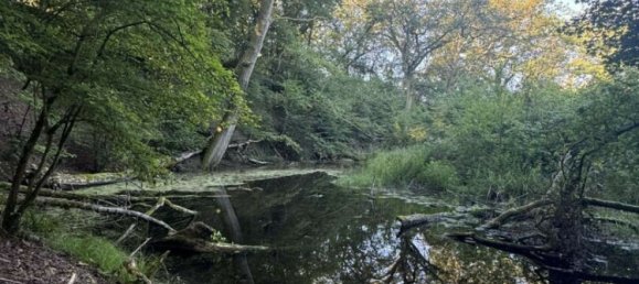 Grundstück in Klang, France, Nr. 238343 3