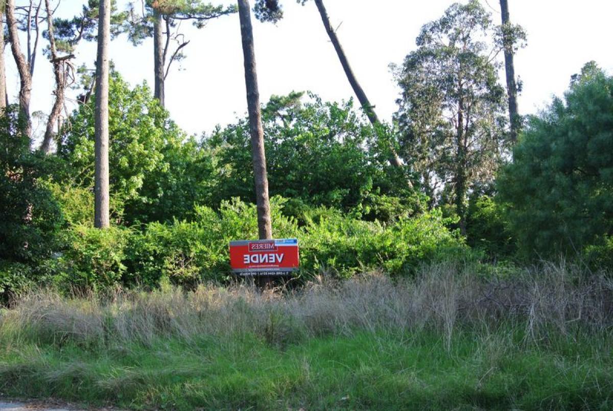  Land in Maldonado, Uruguay No. 14176