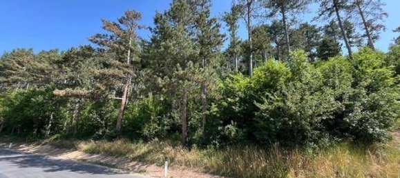  قطعة أرض في Neunkirchen, Austria 25283متر مربع رقم 210050 2