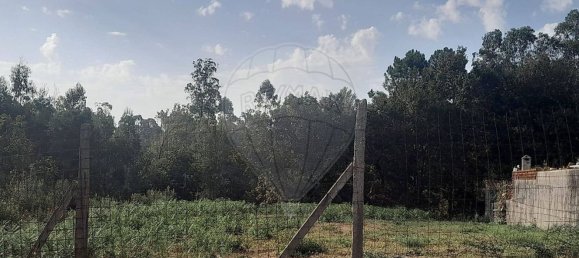 Grundstück in Argoncilhe, Portugal, Nr. 267277 4