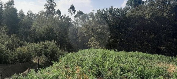 Grundstück in Argoncilhe, Portugal, Nr. 267277 5