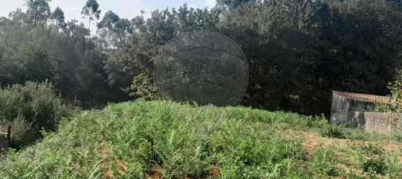 Grundstück in Argoncilhe, Portugal, Nr. 267277 6