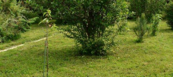 3 rooms House in Ottakring, Austria No. 217262 15