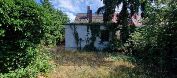  قطعة أرض في Oberhavel, Germany رقم 279645 6