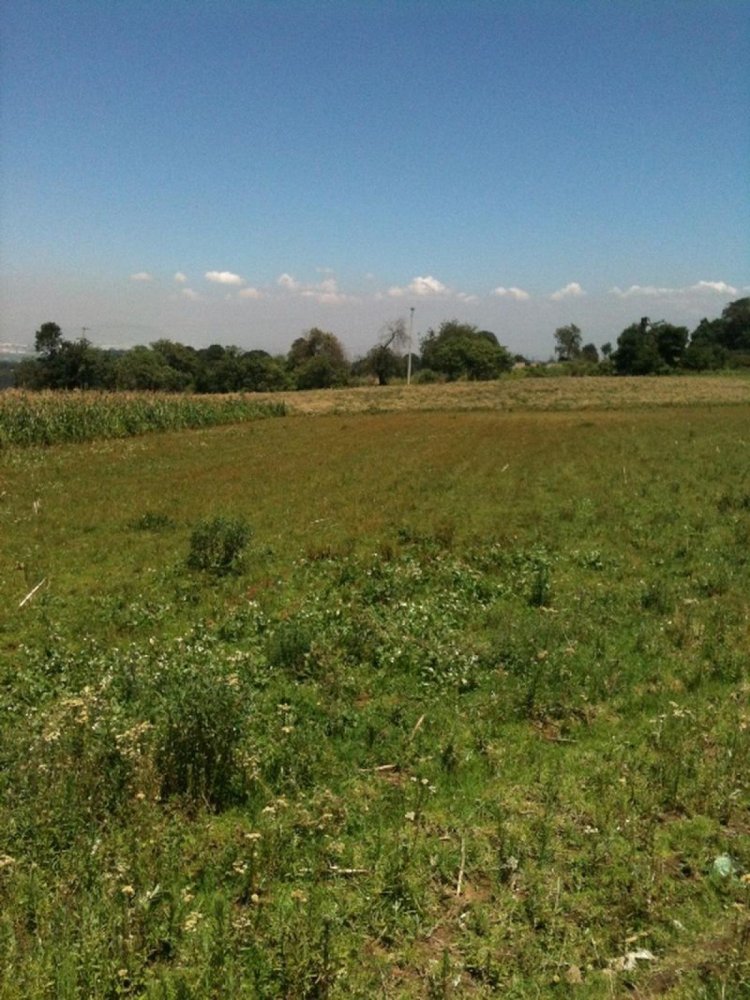  Land in Ocoyoacac, Mexico No. 204917