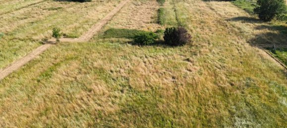 20170m² Land in Porcari, Italy No. 307657 3