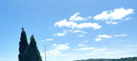 Casa de 1 dormitorio en Flensburg, Germany No. 337581 5