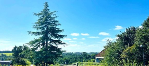 Casa de 1 dormitorio en Flensburg, Germany No. 337581 12