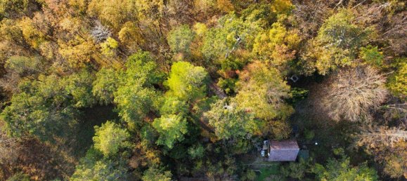 Terrain à Liesing, Austria 28m² No. 166033 4