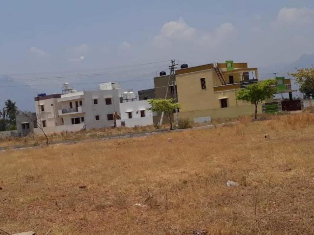 Studio à Coimbatore, India No. 24923