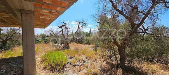 7-Zimmer Haus in Casarano, Italy, Nr. 267593 7