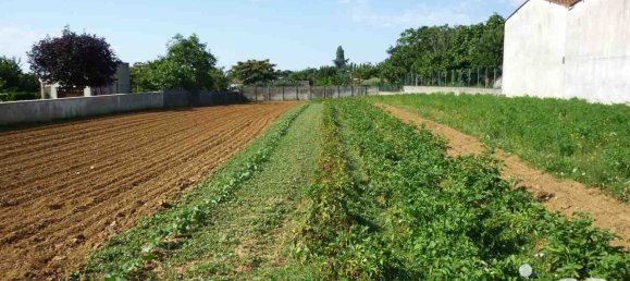 Terreno en Saint-Michel-le-Cloucq, France 1610 m² No. 62793 3