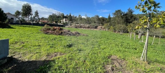 5 chambres Maison à Barcelos, Portugal No. 180814 3