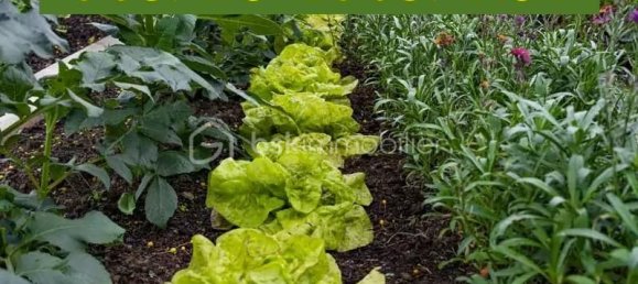 580m² Land in Lillers, France No. 41723 8