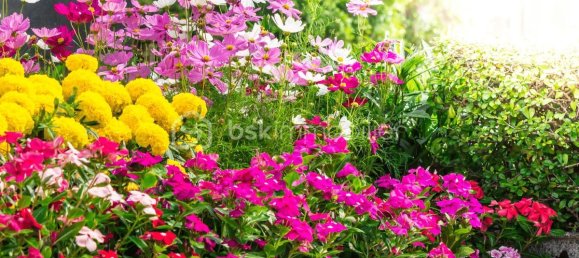 580m² Land in Lillers, France No. 41723 31