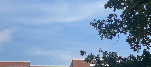 2 bedrooms Apartment in Hanover, Germany No. 289675 3