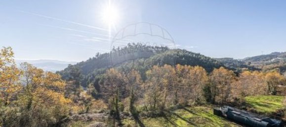 5 bedrooms House in Celorico de Basto, Portugal No. 190121 35