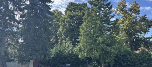  Land in Dahme-Spreewald, Germany No. 269671 8