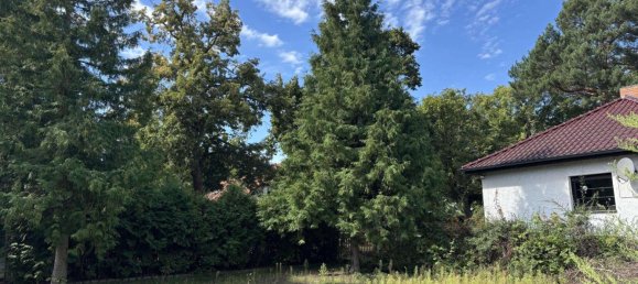  Land in Dahme-Spreewald, Germany No. 269671 12