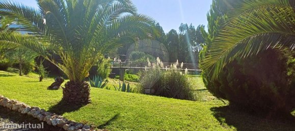 Hotel en Santiago do Cacem, Portugal 743 m² No. 55599 12