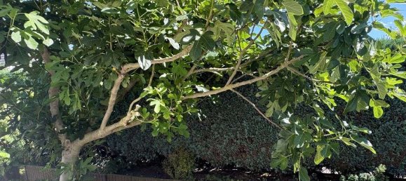 2 غرف نوم تاون هاوس في Harburg, Germany رقم 150010 25