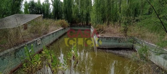 6 Schlafzimmer Haus in Santa Margarida da Coutada, Portugal, Nr. 141204 6