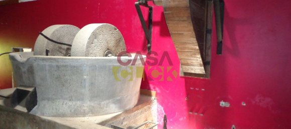 6 Schlafzimmer Haus in Santa Margarida da Coutada, Portugal, Nr. 141204 27