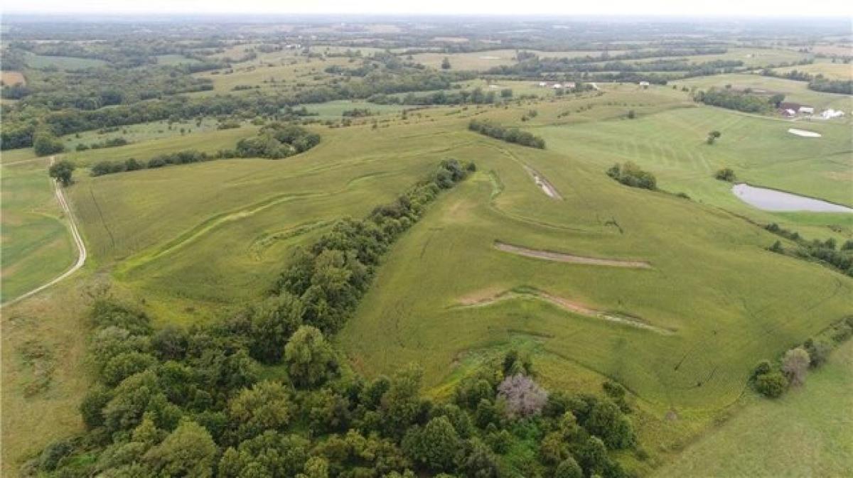 Terreno em Spickard, USA N.º 474692