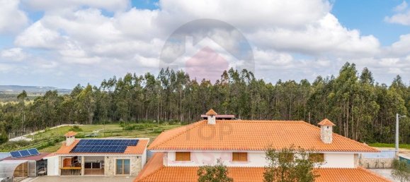 7 bedrooms House in Caldas da Rainha, Portugal No. 102073 2