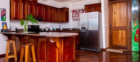 Studio in the Condo in Tilaran, Costa Rica No. 51 6